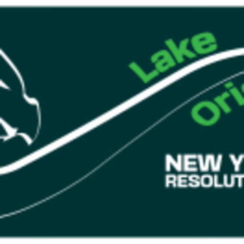 Lake Orion New Year's Resolution Run