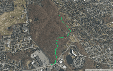 Yellow Trail - Lenape