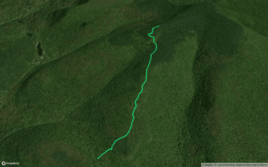 Curtis - Ormsbee Trail